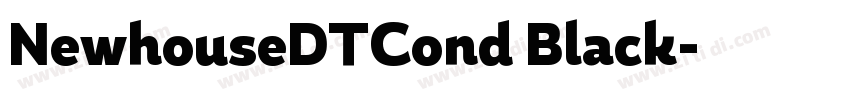 NewhouseDTCond Black字体转换